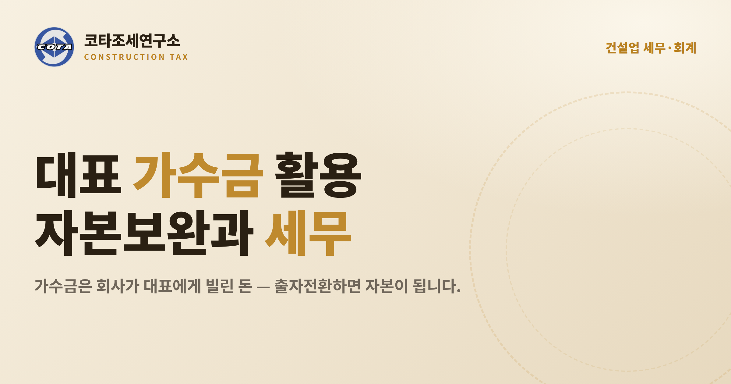 대표이사 가수금 활용 세무 - 코타조세연구소